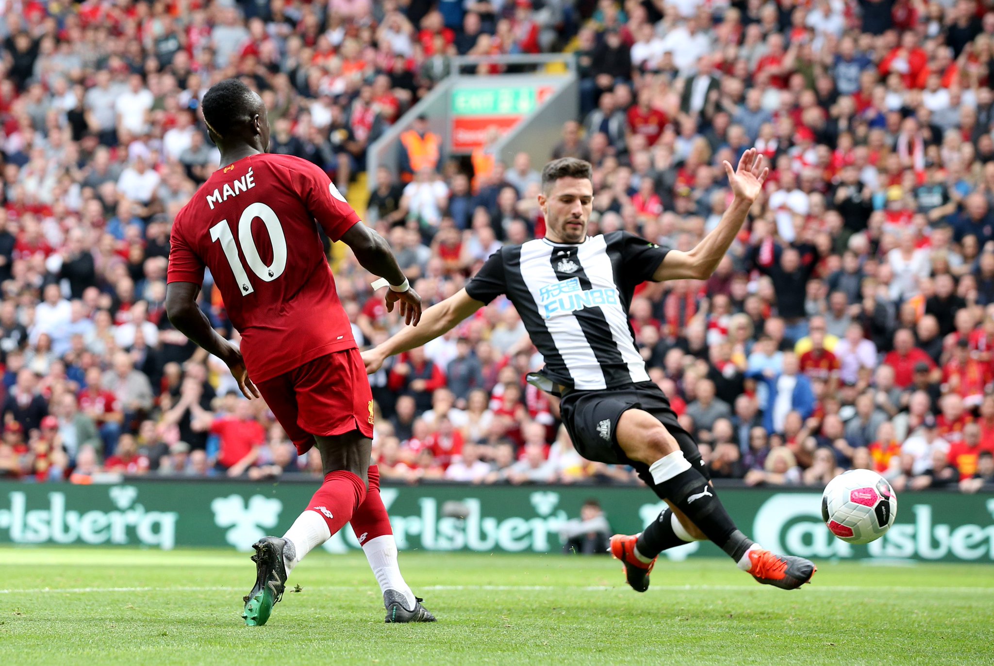 他们不凡的 他们不凡的